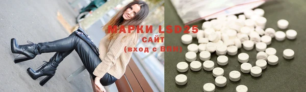 ГАЛЛЮЦИНОГЕННЫЕ ГРИБЫ Медвежьегорск