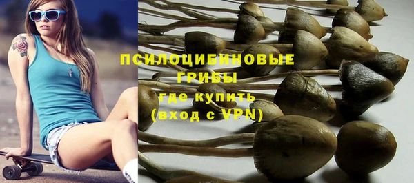 а пвп мука Медногорск
