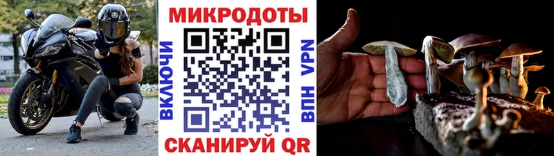 Псилоцибиновые грибы GOLDEN TEACHER  darknet официальный сайт  Черняховск 