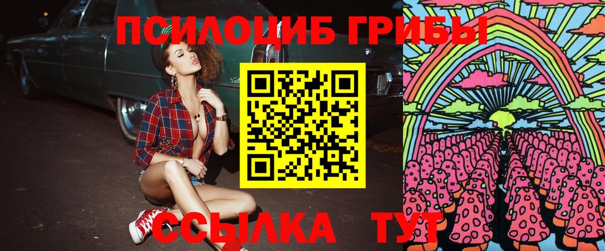 Псилоцибиновые грибы мицелий Черняховск